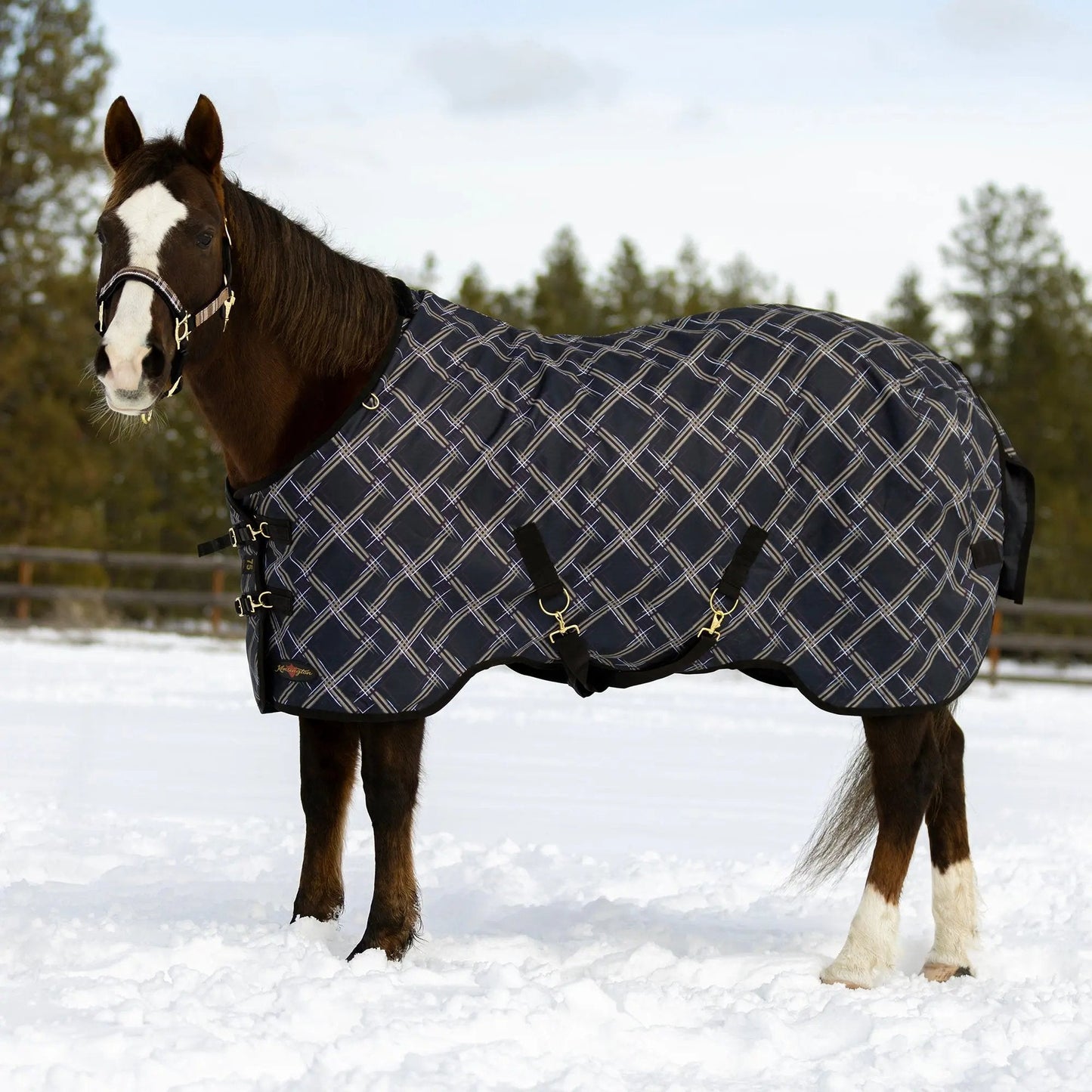 1200D Heavyweight 300g Horse Winter Turnout Blanket - Waterproof & Breathable - Riders Choice Supply Co