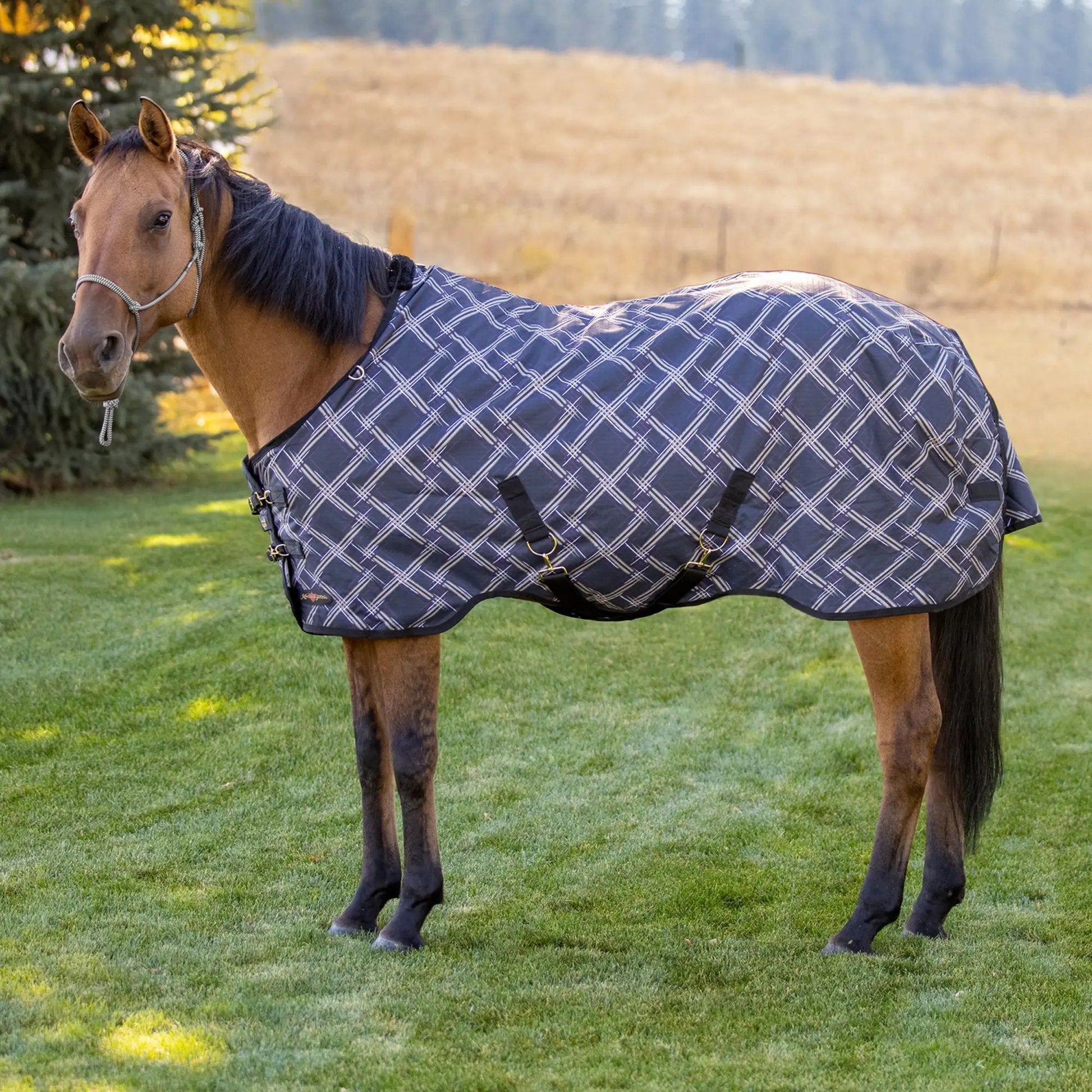 1200D Lightweight 80g Horse Winter Turnout Blanket - Waterproof & Breathable - Riders Choice Supply Co