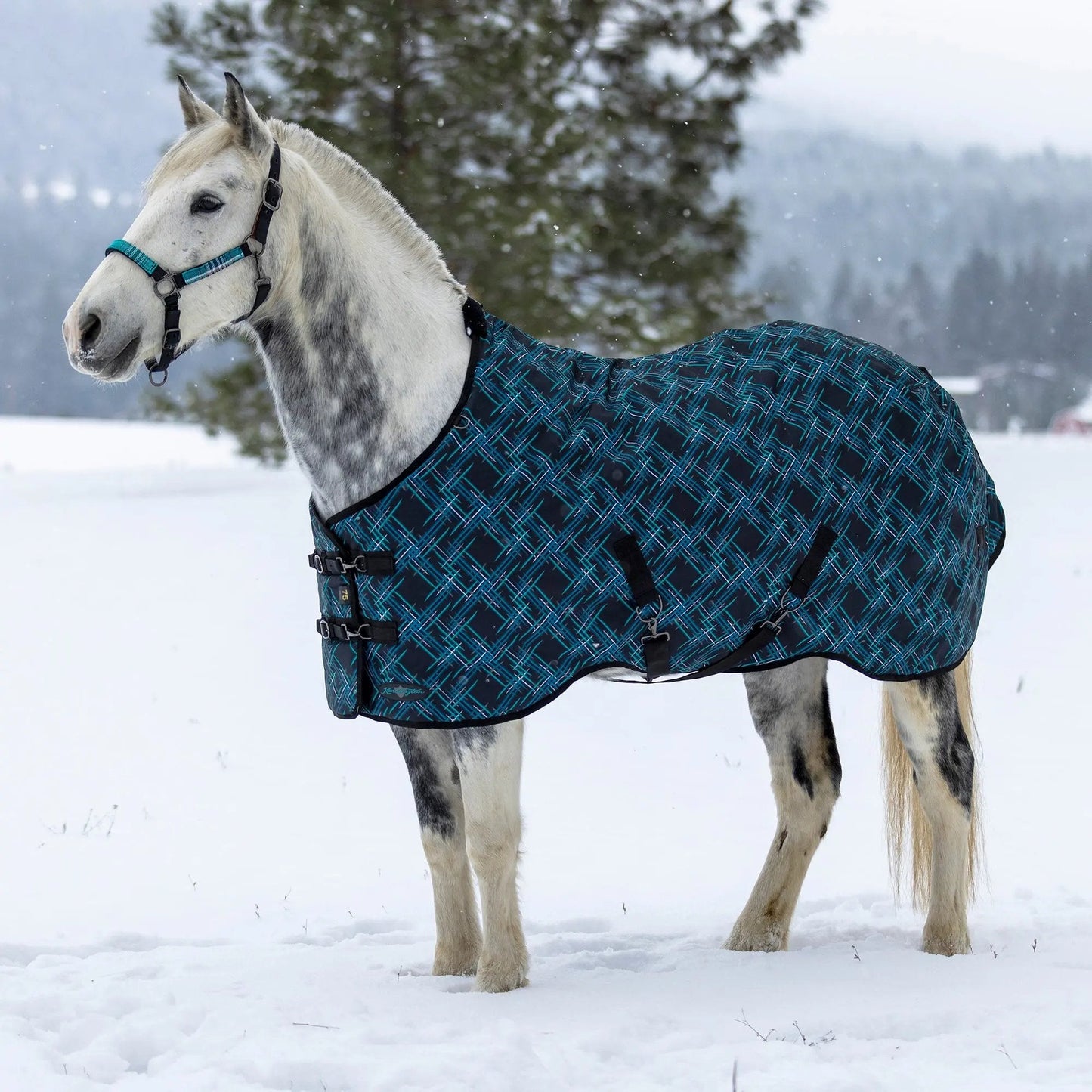 1200D Heavyweight 300g Horse Winter Turnout Blanket - Waterproof & Breathable - Riders Choice Supply Co