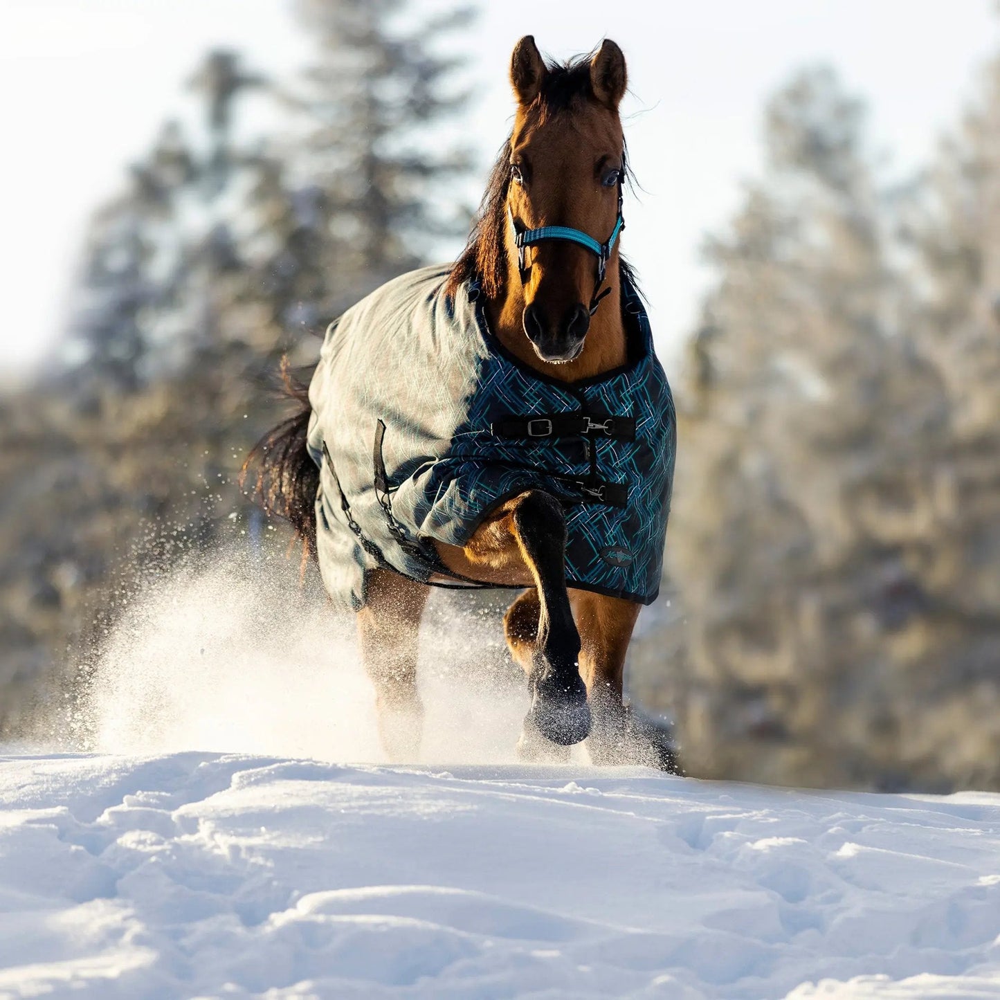 1200D Heavyweight 300g Horse Winter Turnout Blanket - Waterproof & Breathable - Riders Choice Supply Co