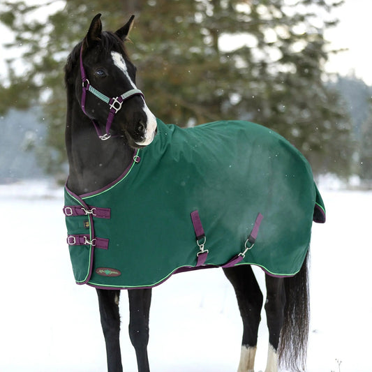 1200D Midweight 180g Horse Winter Turnout Blanket - Waterproof & Breathable - Riders Choice Supply Co
