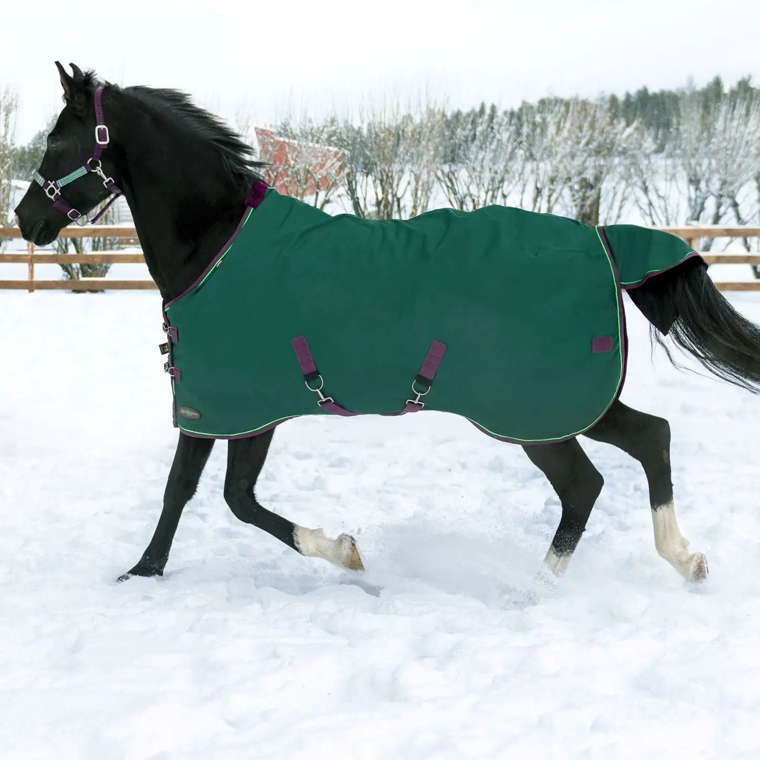 1200D Midweight 180g Horse Winter Turnout Blanket - Waterproof & Breathable - Riders Choice Supply Co