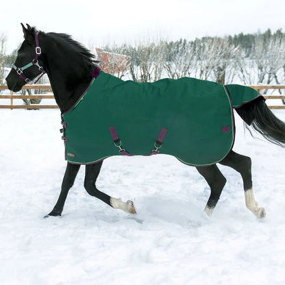 1200D Midweight 180g Horse Winter Turnout Blanket - Waterproof & Breathable - Riders Choice Supply Co