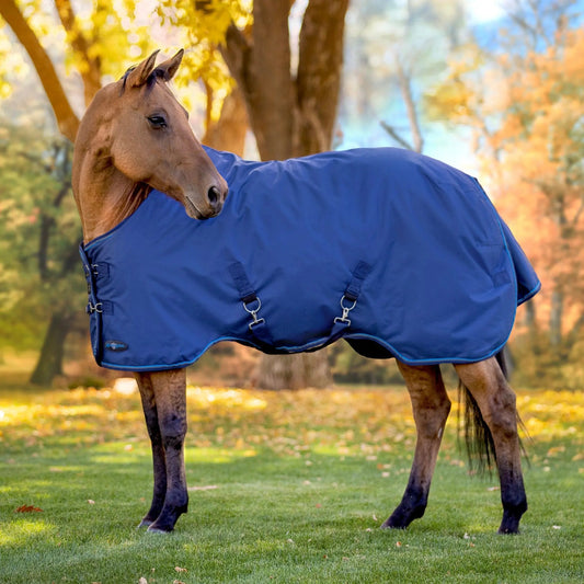 1200D Lightweight 80g Horse Winter Turnout Blanket - Waterproof & Breathable - Riders Choice Supply Co