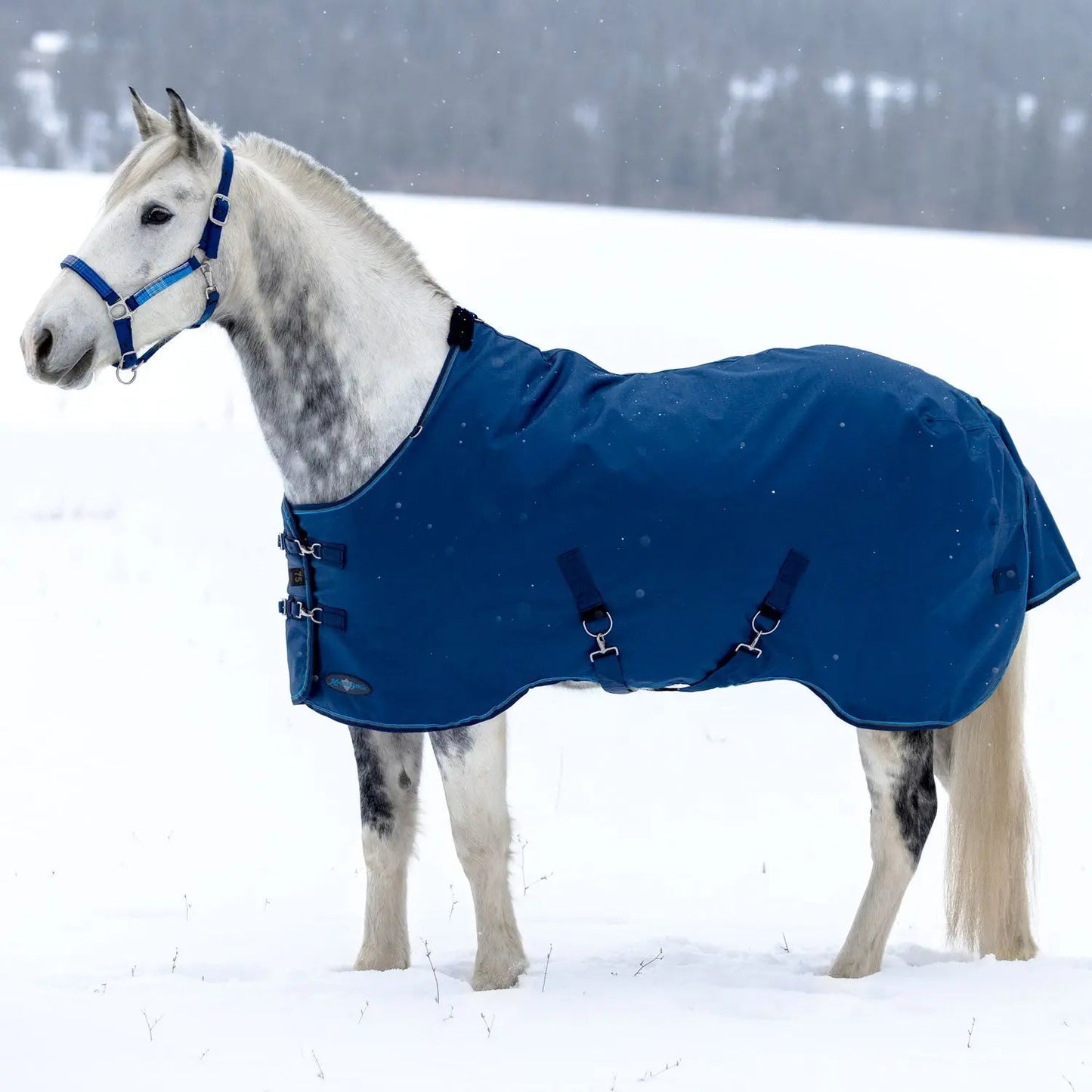 1200D Heavyweight 300g Horse Winter Turnout Blanket - Waterproof & Breathable - Riders Choice Supply Co