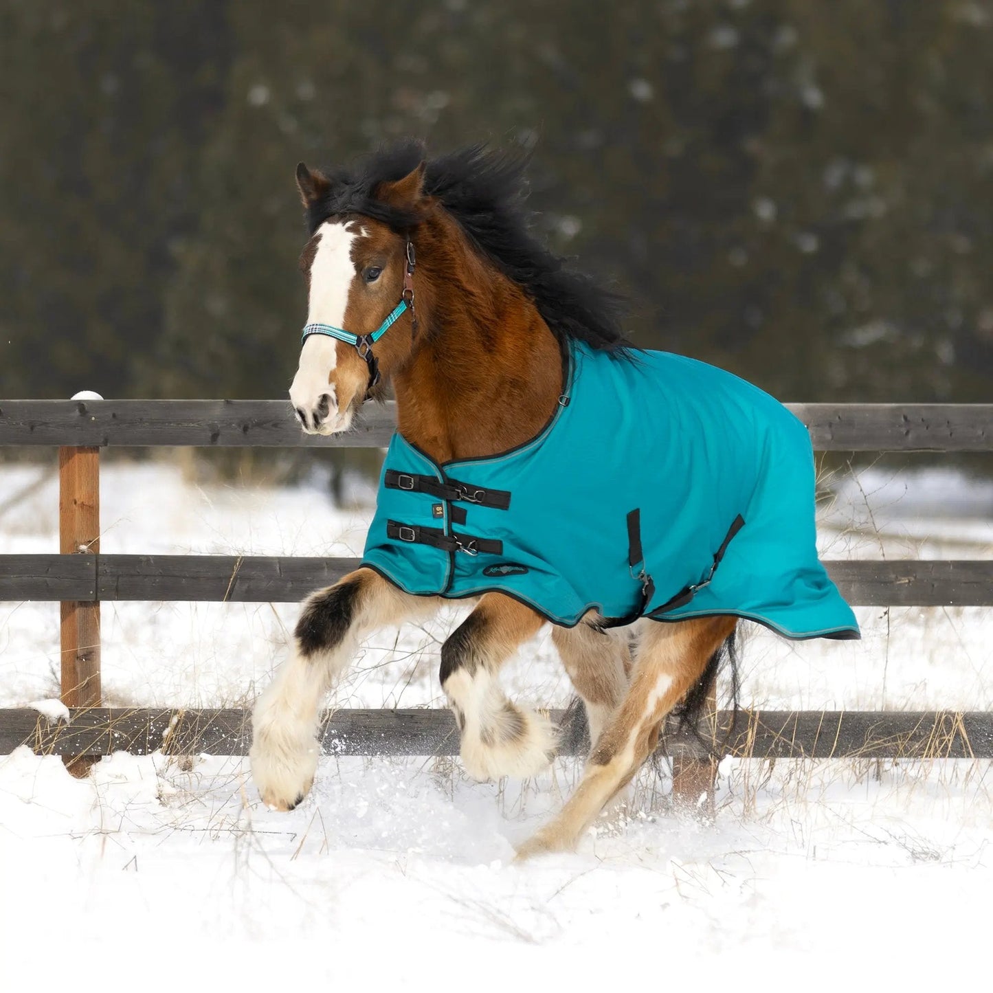 1200D Midweight 180g Horse Winter Turnout Blanket - Waterproof & Breathable - Riders Choice Supply Co