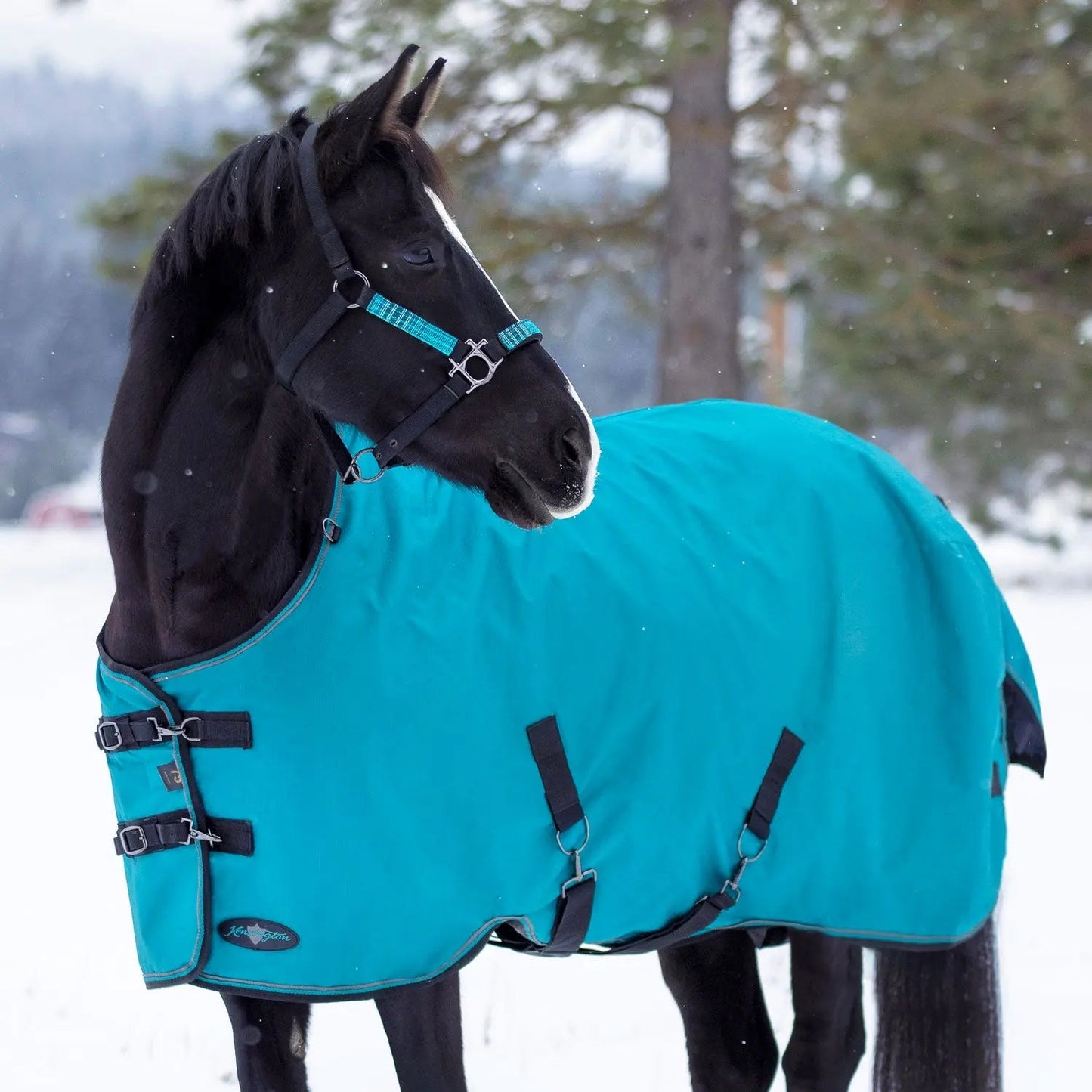 1200D Midweight 180g Horse Winter Turnout Blanket - Waterproof & Breathable - Riders Choice Supply Co