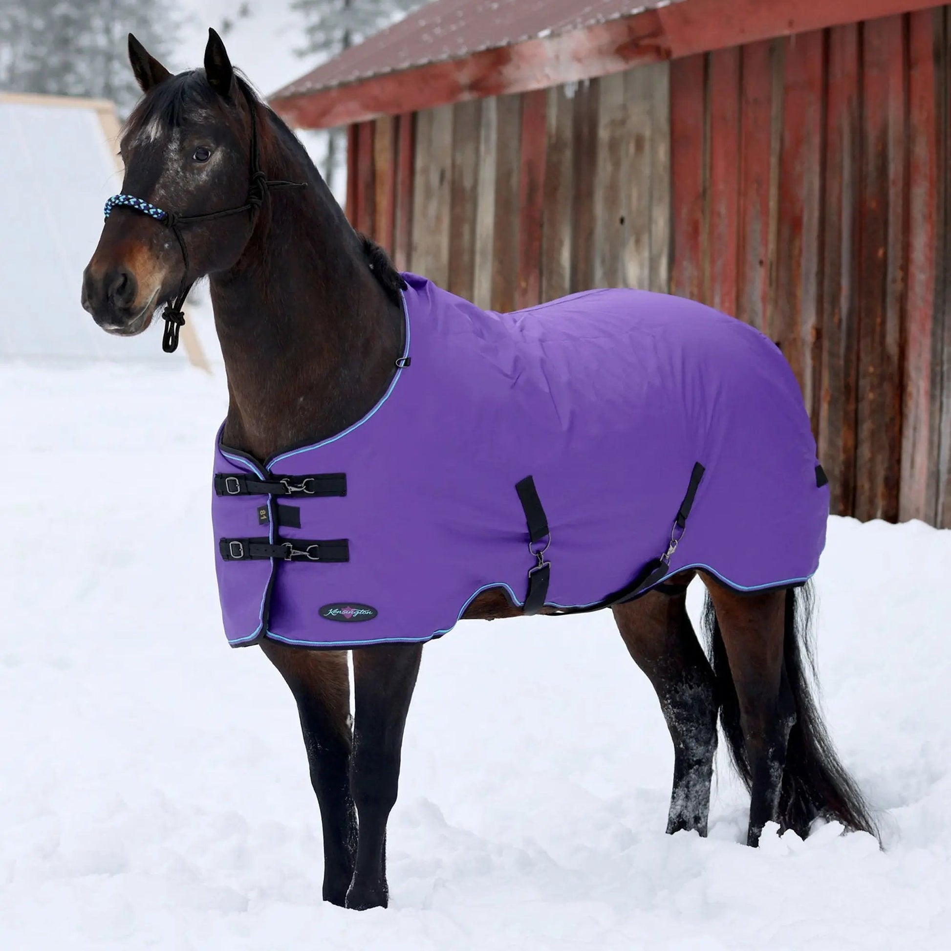 1200D Heavyweight 300g Horse Winter Turnout Blanket - Waterproof & Breathable - Riders Choice Supply Co