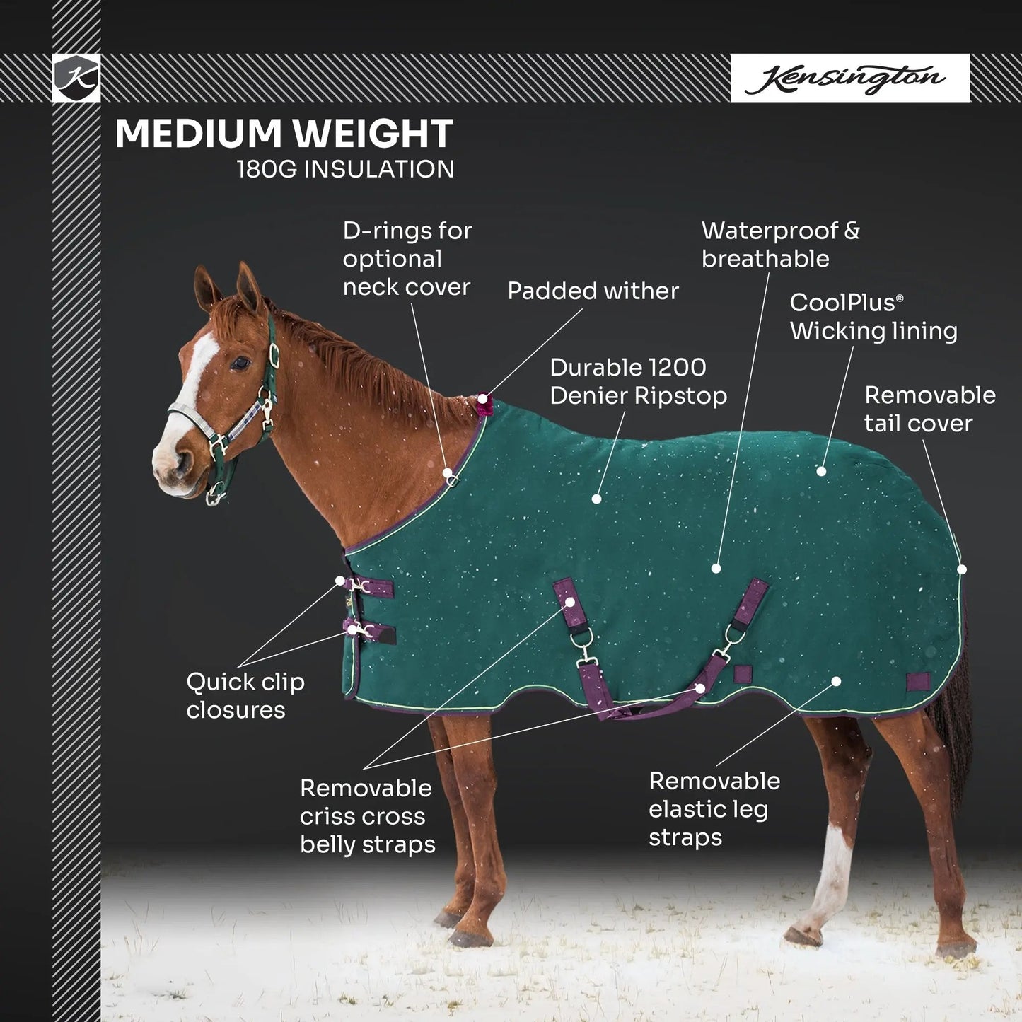 1200D Midweight 180g Horse Winter Turnout Blanket - Waterproof & Breathable - Riders Choice Supply Co