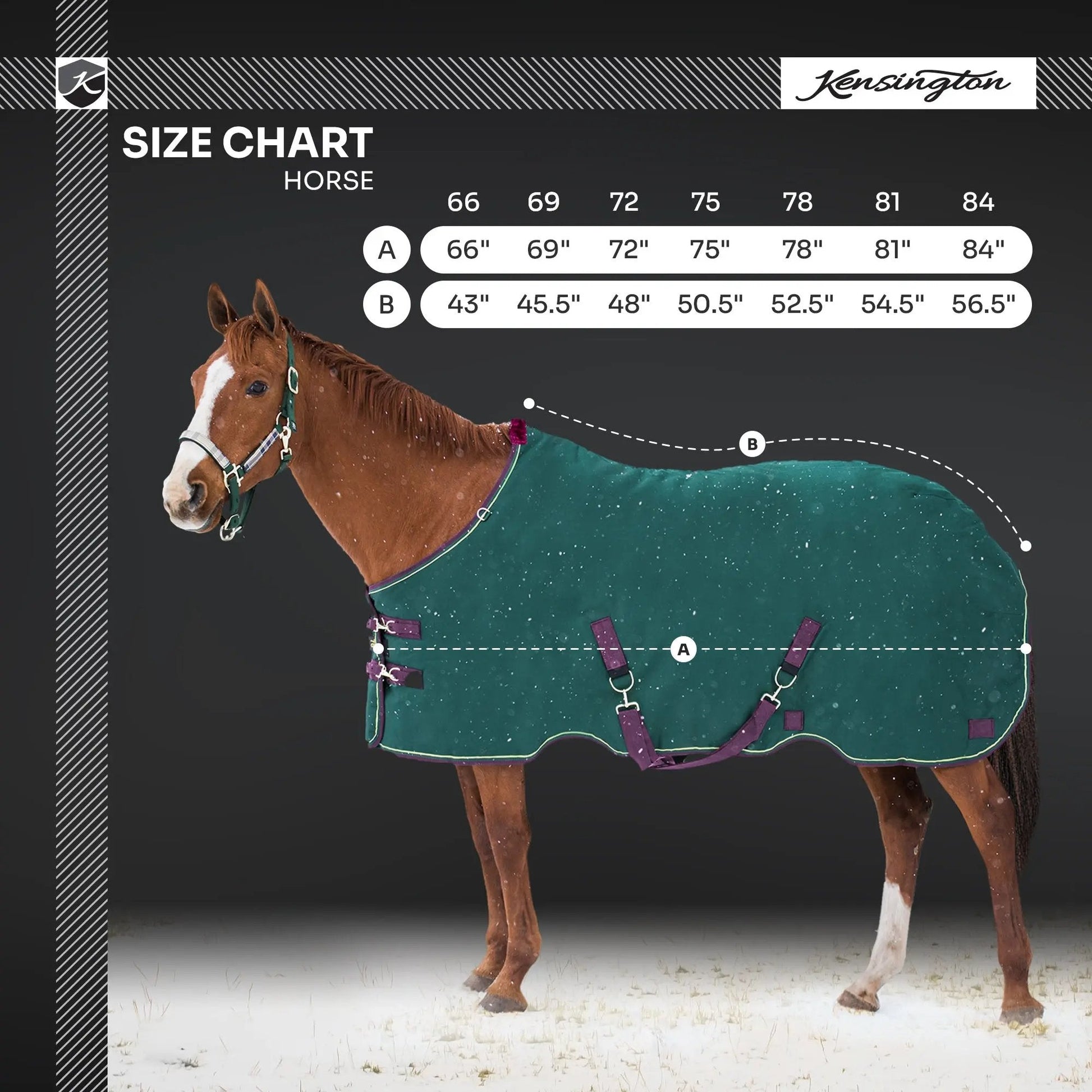 1200D Midweight 180g Horse Winter Turnout Blanket - Waterproof & Breathable - Riders Choice Supply Co