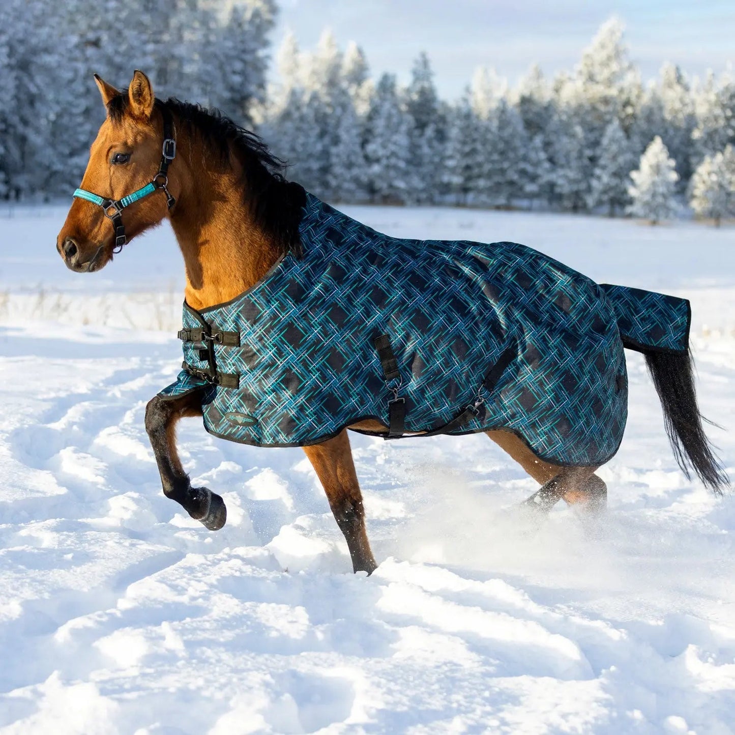 1200D Midweight 180g Horse Winter Turnout Blanket - Waterproof & Breathable - Riders Choice Supply Co