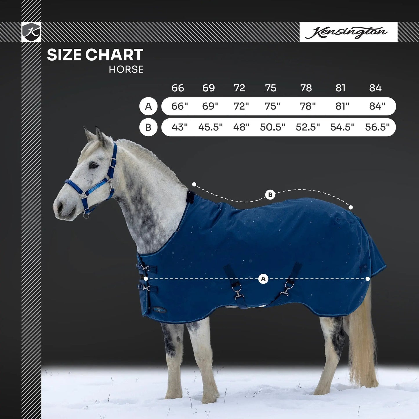 1200D Heavyweight 300g Horse Winter Turnout Blanket - Waterproof & Breathable - Riders Choice Supply Co