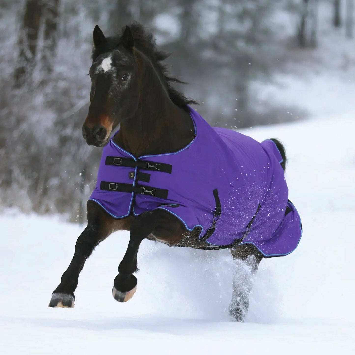 1200D Midweight 180g Horse Winter Turnout Blanket - Waterproof & Breathable - Riders Choice Supply Co