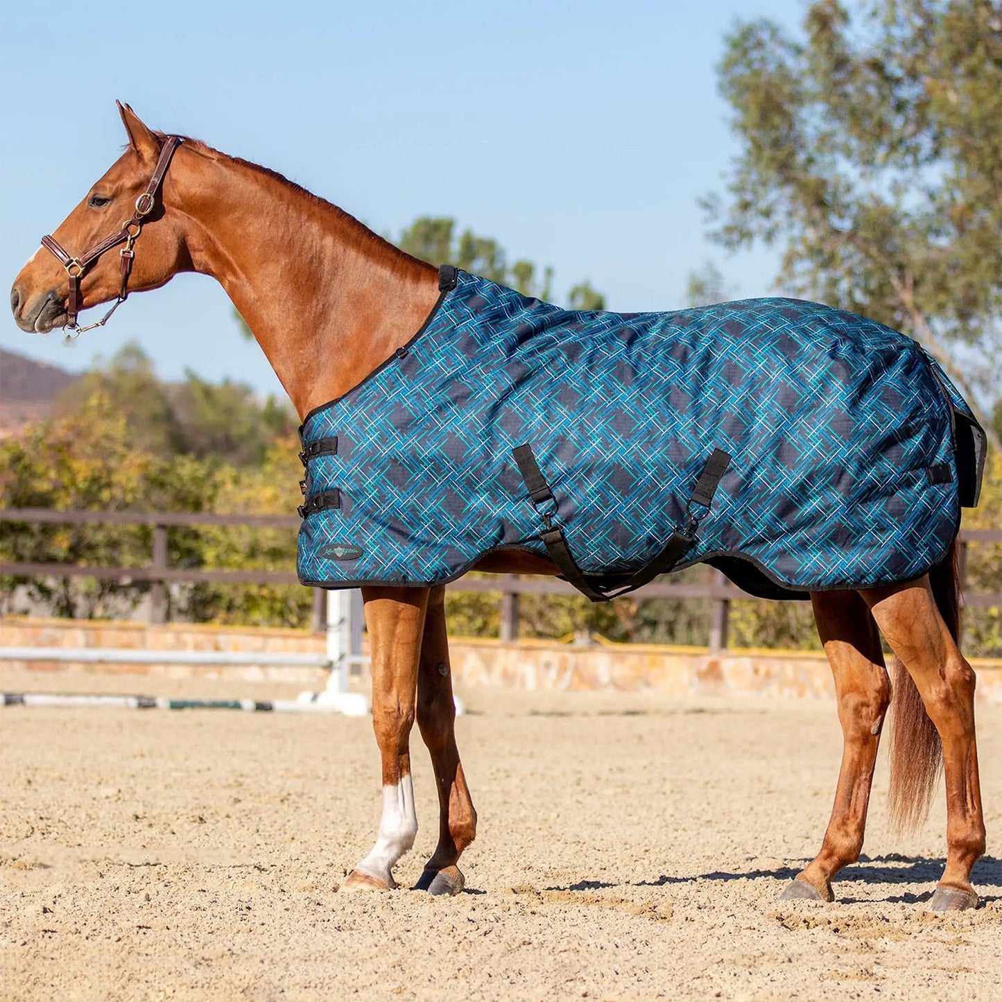 1200D Lightweight 80g Horse Winter Turnout Blanket - Waterproof & Breathable - Riders Choice Supply Co
