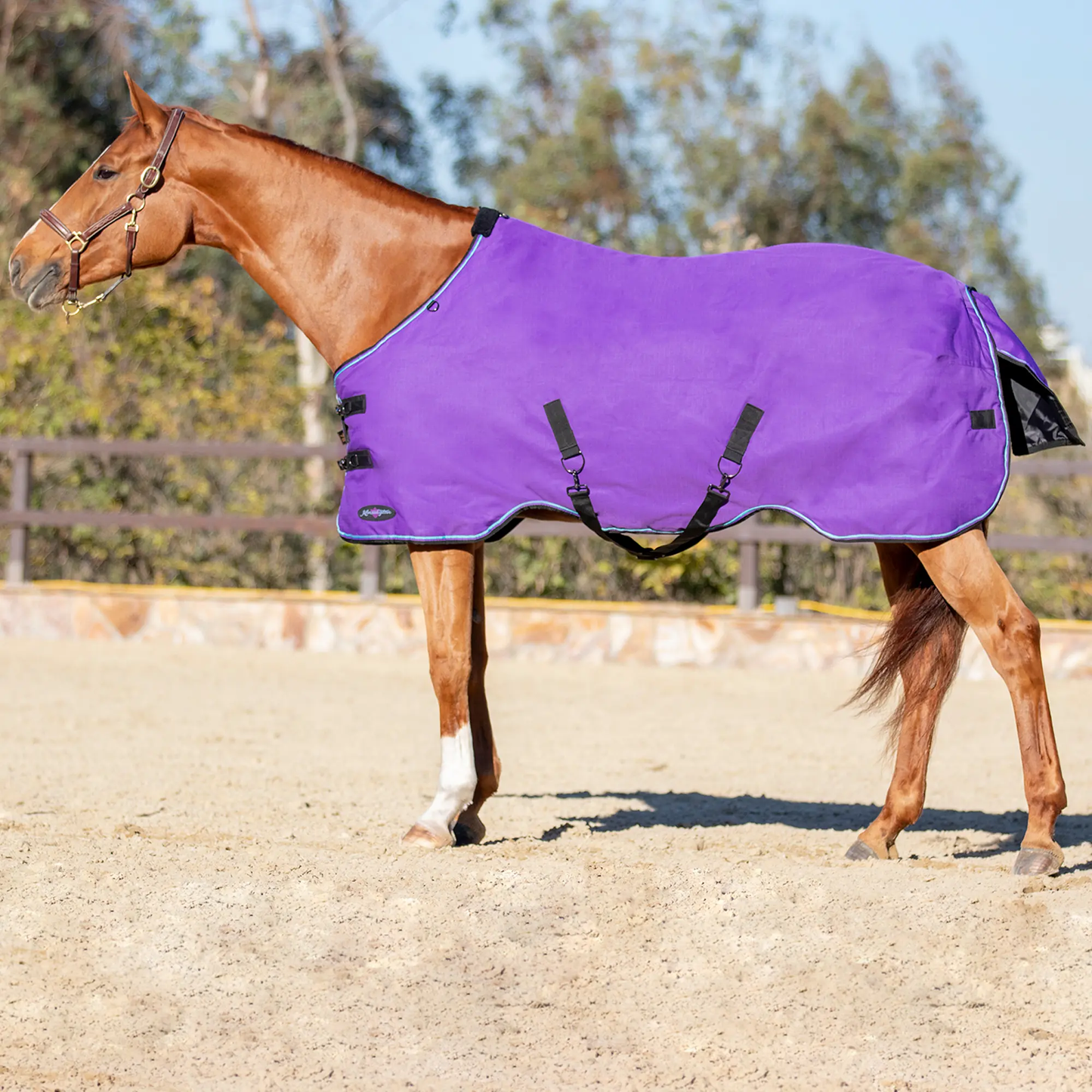 1200D Lightweight 80g Horse Winter Turnout Blanket - Waterproof & Breathable - Riders Choice Supply Co