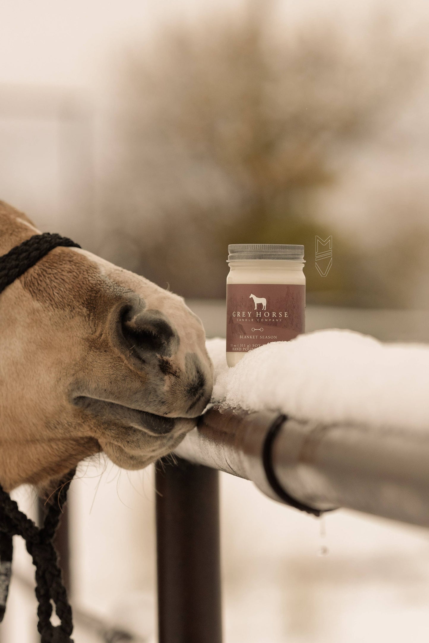 Blanket Season Soy Candle - Holiday Collection