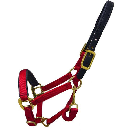 Padded Breakaway Halter for Cob- Red - Riders Choice Supply Co