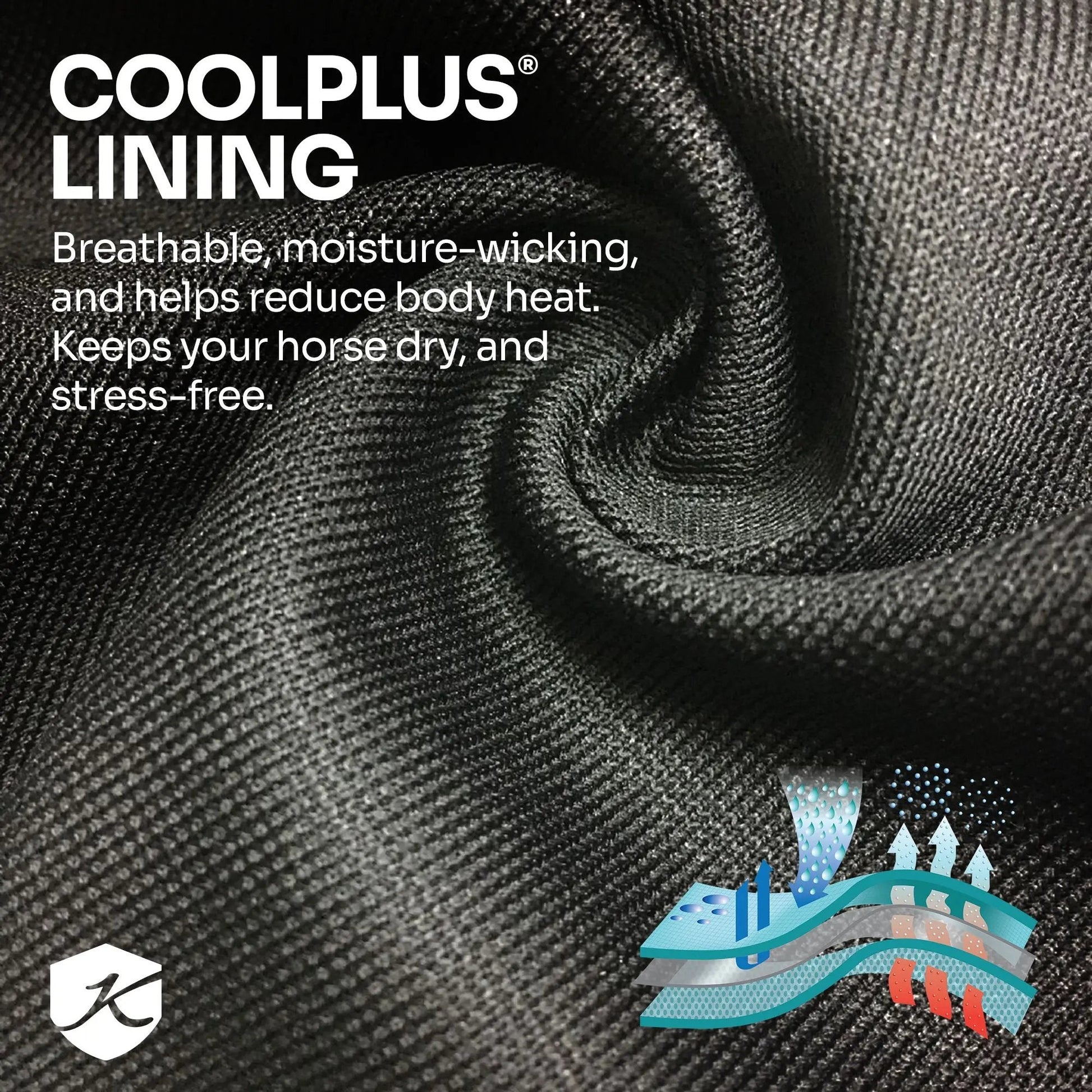 1200D Heavyweight 300g Horse Winter Turnout Blanket - Waterproof & Breathable - Riders Choice Supply Co