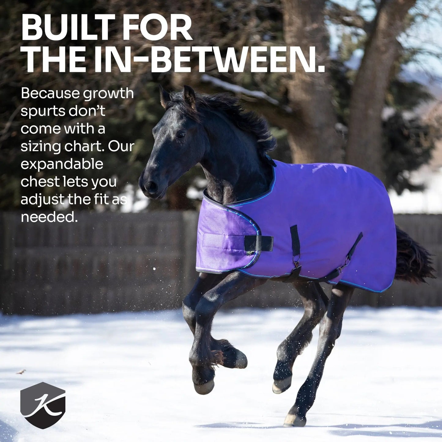 1200D Adjustable Weanling 180G Medium Weight Winter Turnout Blanket - Waterproof & Breathable - Riders Choice Supply Co