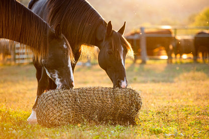 Square Bale Hay Net - Riders Choice Supply Co