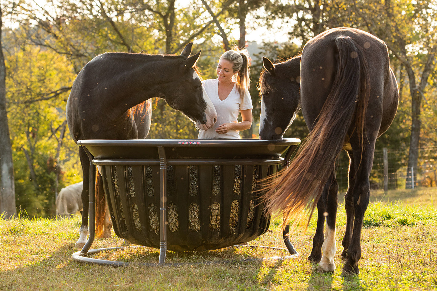 Hay Net for Tarter Equine Hay Basket (Basket Sold Separately) - Riders Choice Supply Co