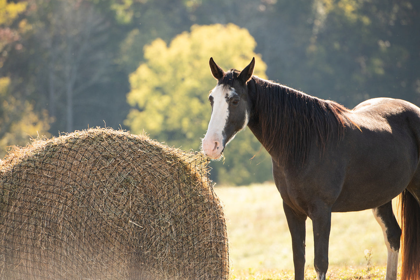 Round Bale Hay Net - Riders Choice Supply Co