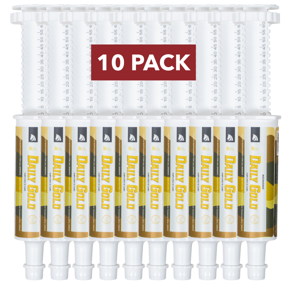 Daily Gold® Paste - Digestive Stress Relief for Horses - Riders Choice Supply Co