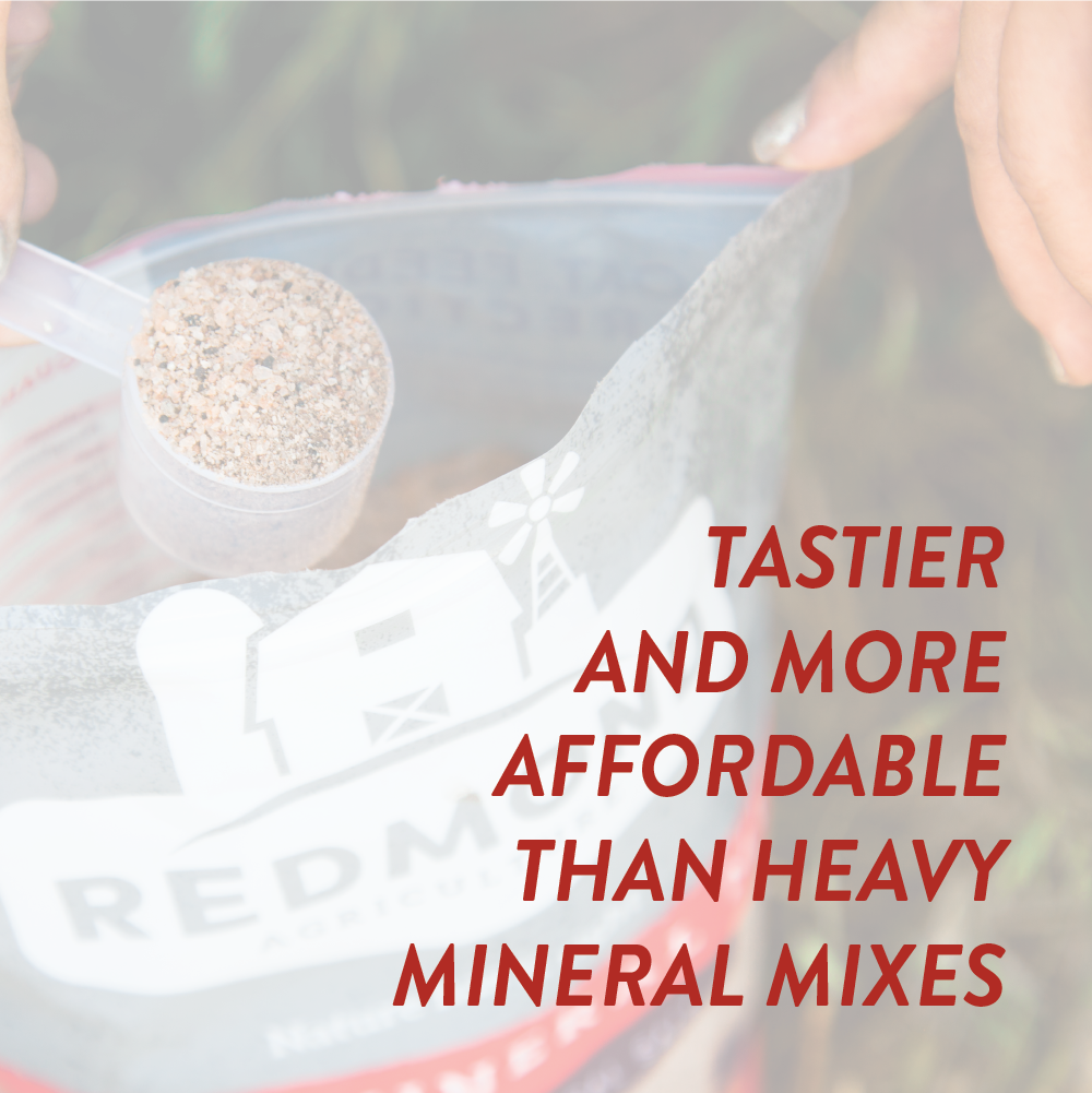 Goat Mineral - Riders Choice Supply Co