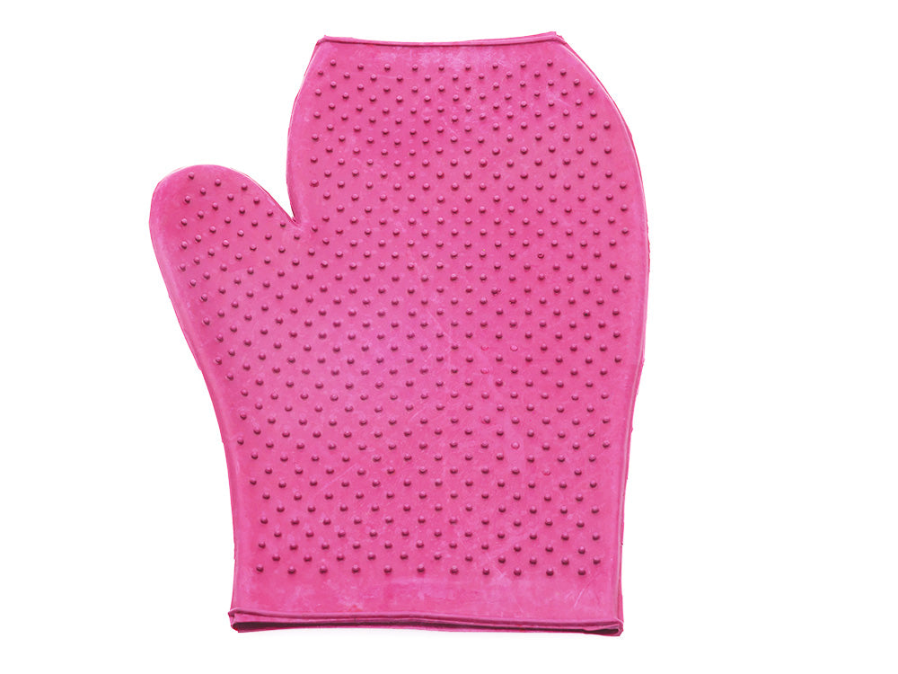 Horse Grooming Mitt