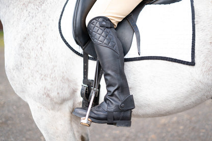 Hayden Regular & Short Half Chaps