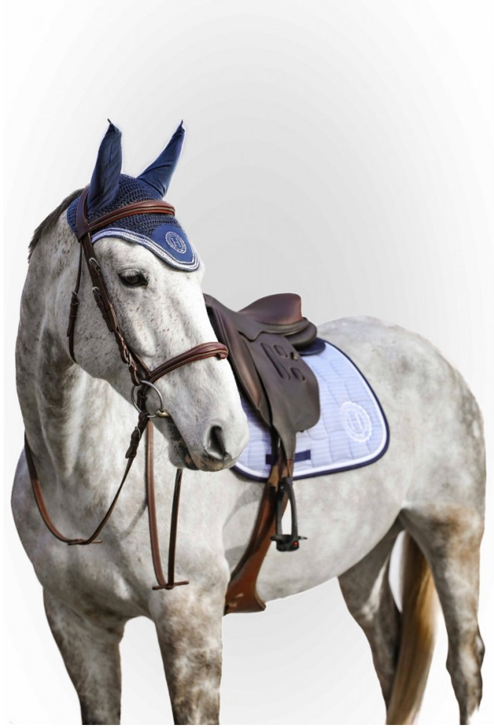 Surf CSO Saddle Pad & Fleek Fly Bonnet Set - Riders Choice Supply Co