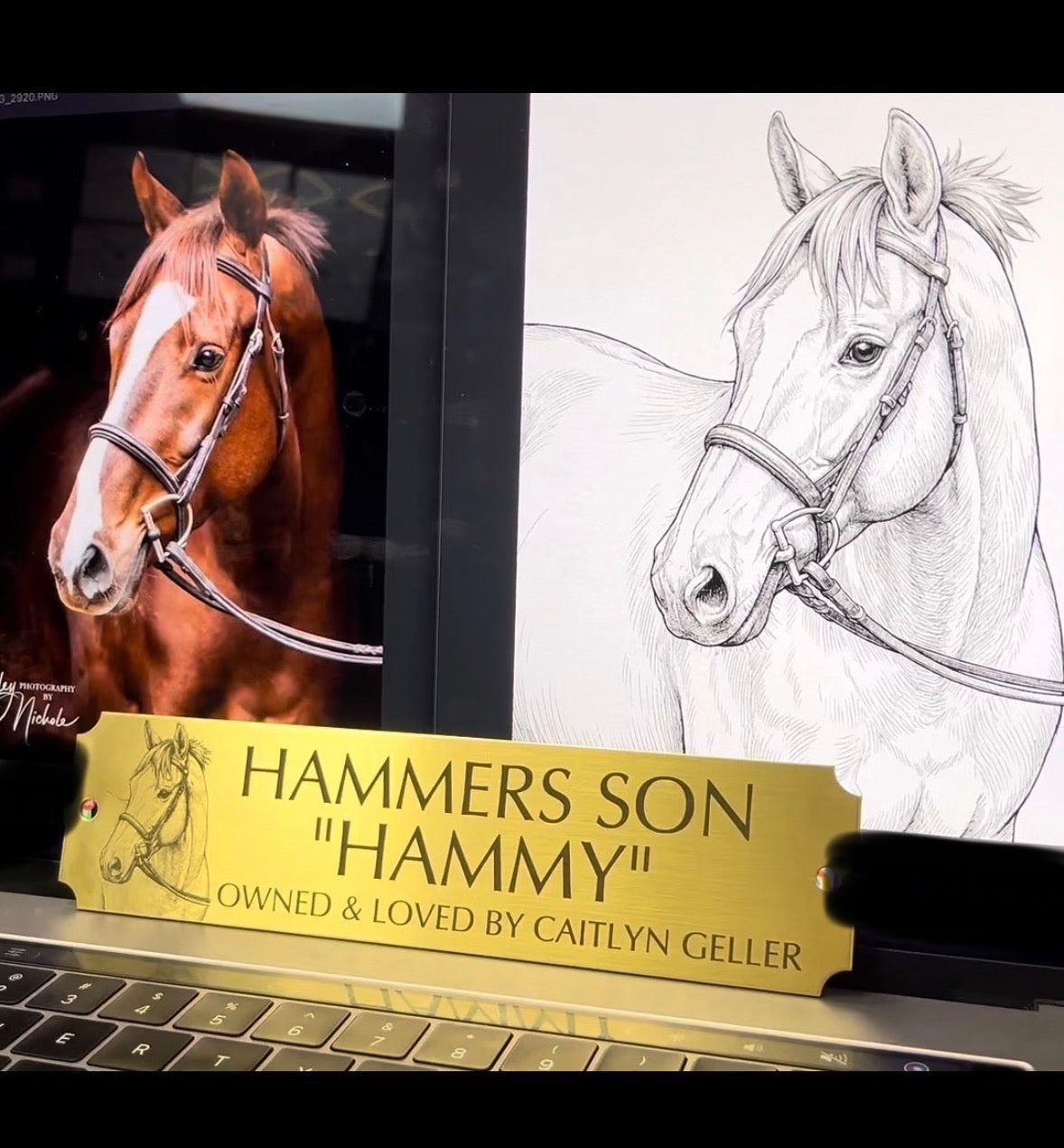 The Original Rider’s Choice Custom Brass Stall Plate – Personalized Horse Stall Plate with Engraved Horse Portrait - Riders Choice Supply Co