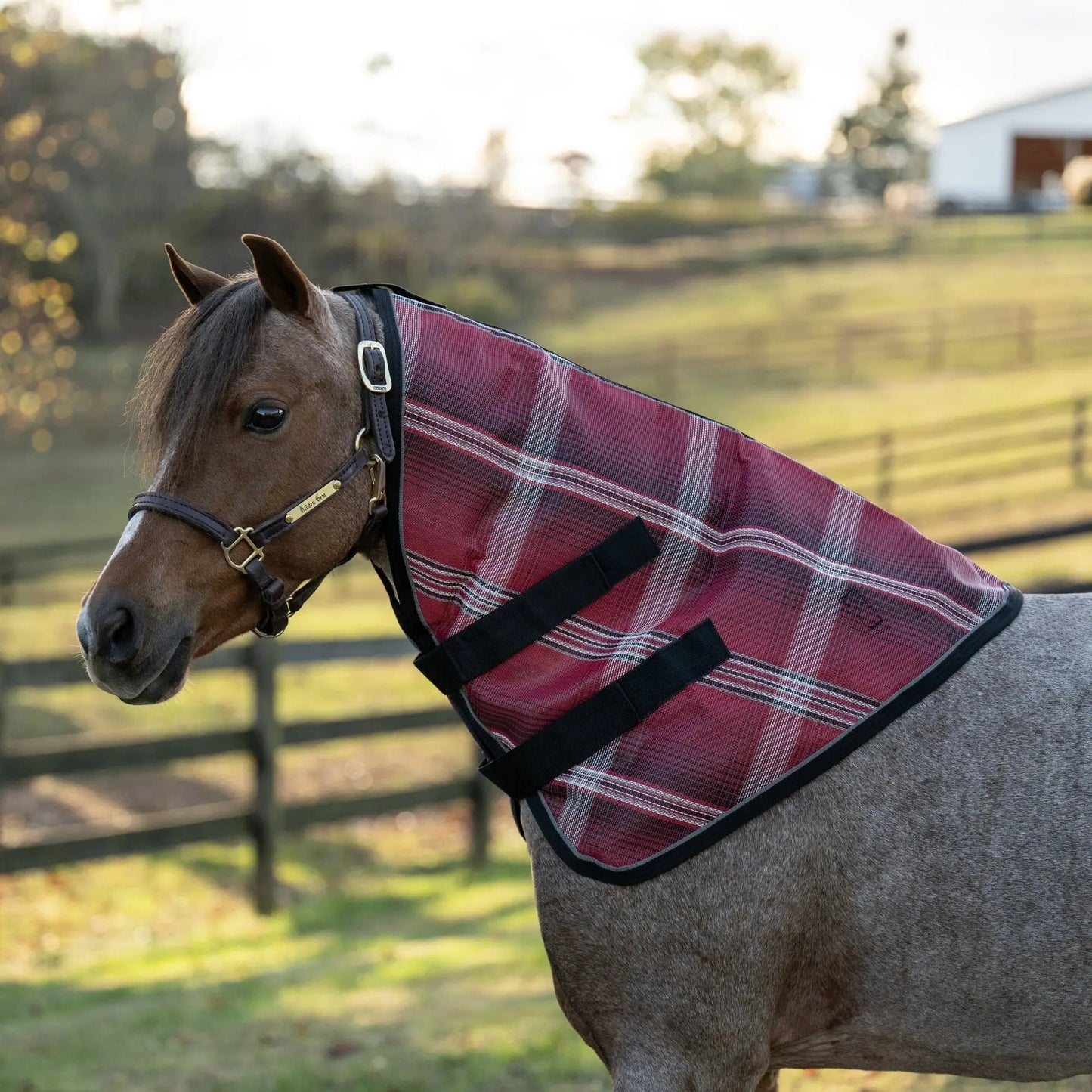 Pony Protective Neck Cover - Pairs with Fly Sheet - 73% UV Blocking - Riders Choice Supply Co