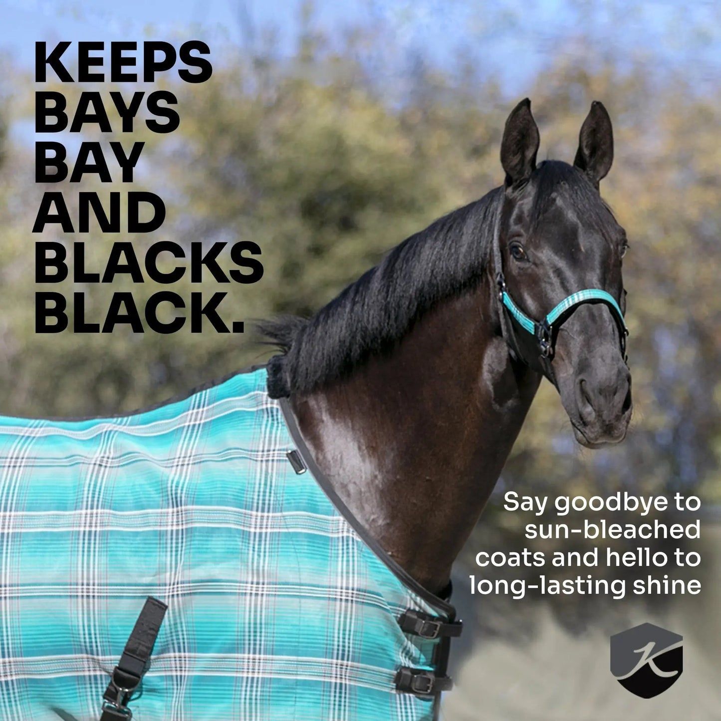 Horse Protective Fly Sheet  - 73% UV Protection - Riders Choice Supply Co