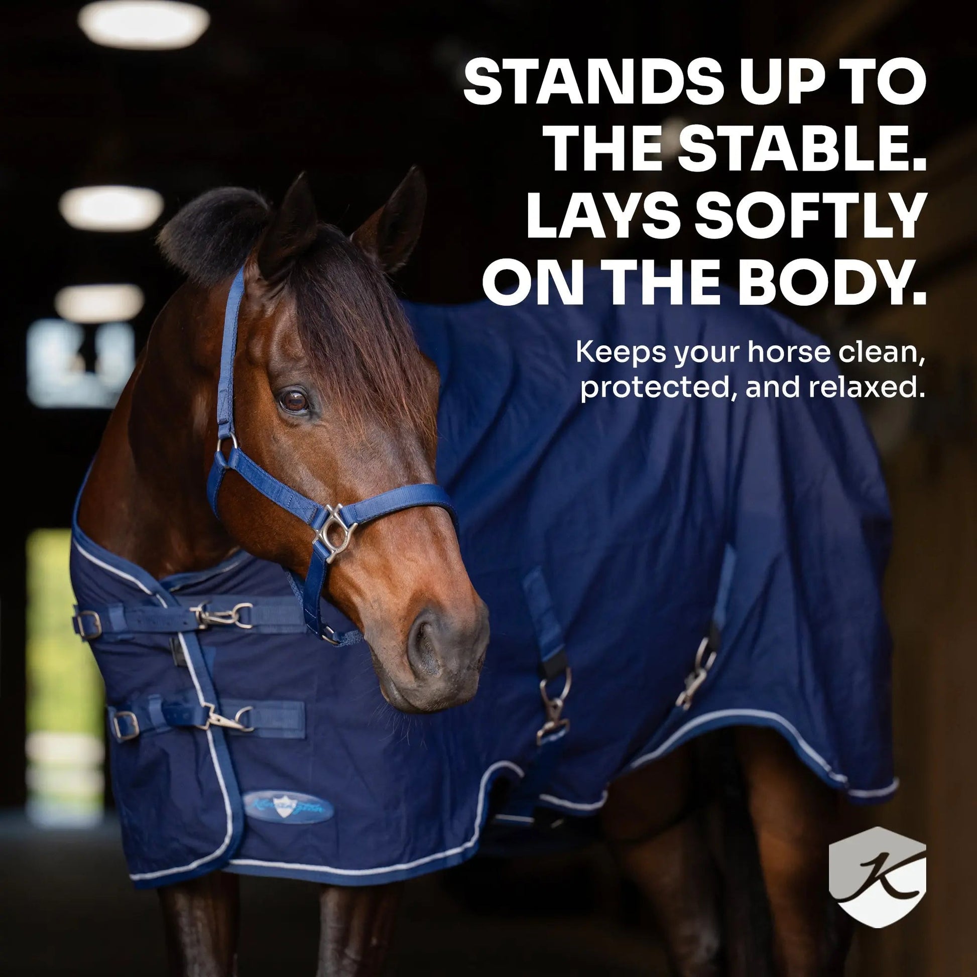 Horse Poly Cotton Day Sheet - Breathable Stable Sheet - Riders Choice Supply Co