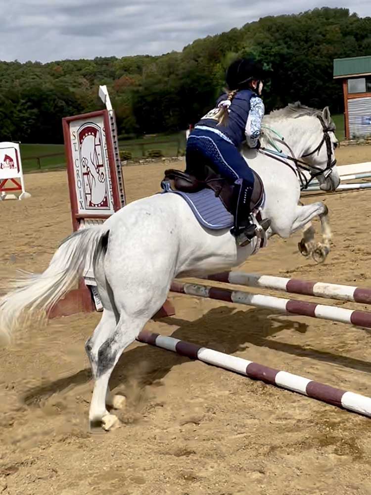 Lewis Kid's Half Chaps - Riders Choice Supply Co