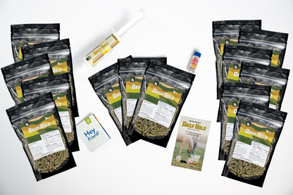 Daily Gold® - Horse Gut Supplements - Riders Choice Supply Co
