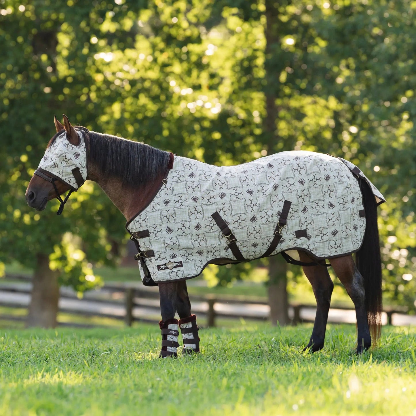 Horse Protective Fly Sheet  - 73% UV Protection - Riders Choice Supply Co