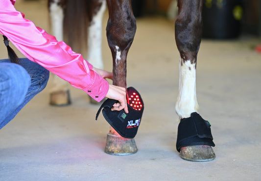 Redline Bell Boot - Pair - Riders Choice Supply Co