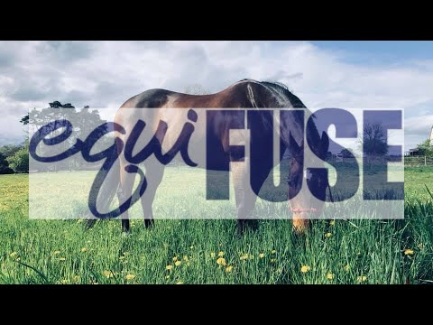 EQUIFUSE EquiFUSE CFS Horse Shampoo Concentrate + Paste, 1 lb
