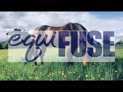 EQUIFUSE EquiFUSE CFS Horse Shampoo Concentrate + Paste, 1 lb