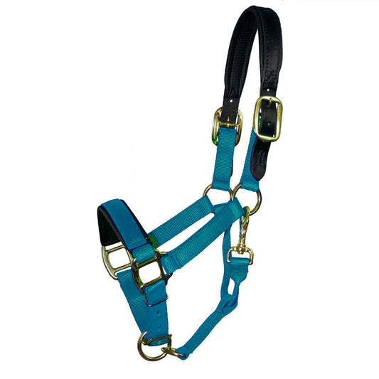 Padded Breakaway Halter for Mini