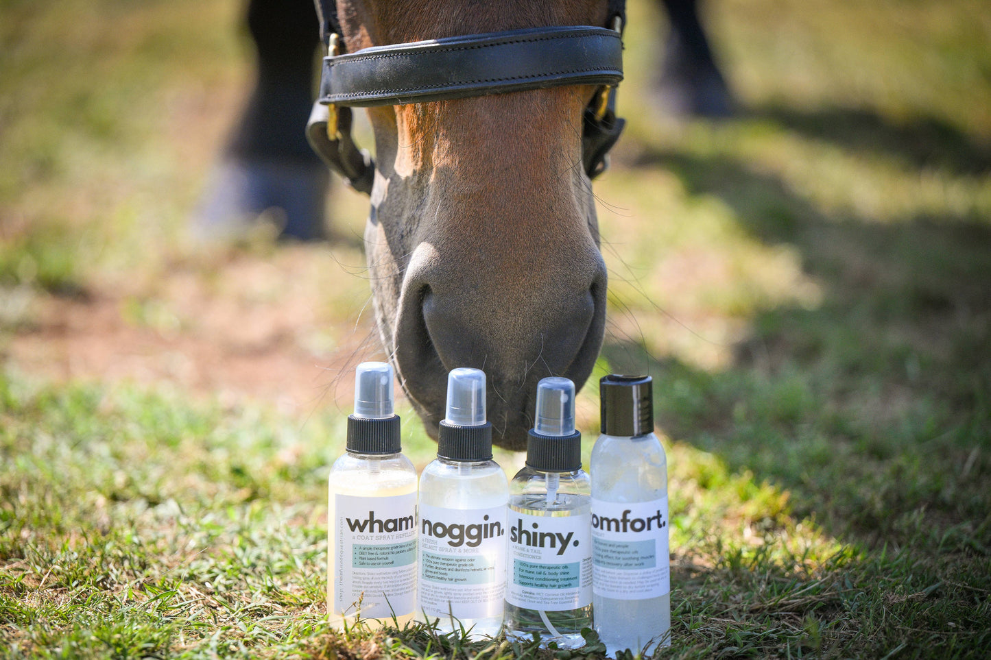 Infusion Starter Collection