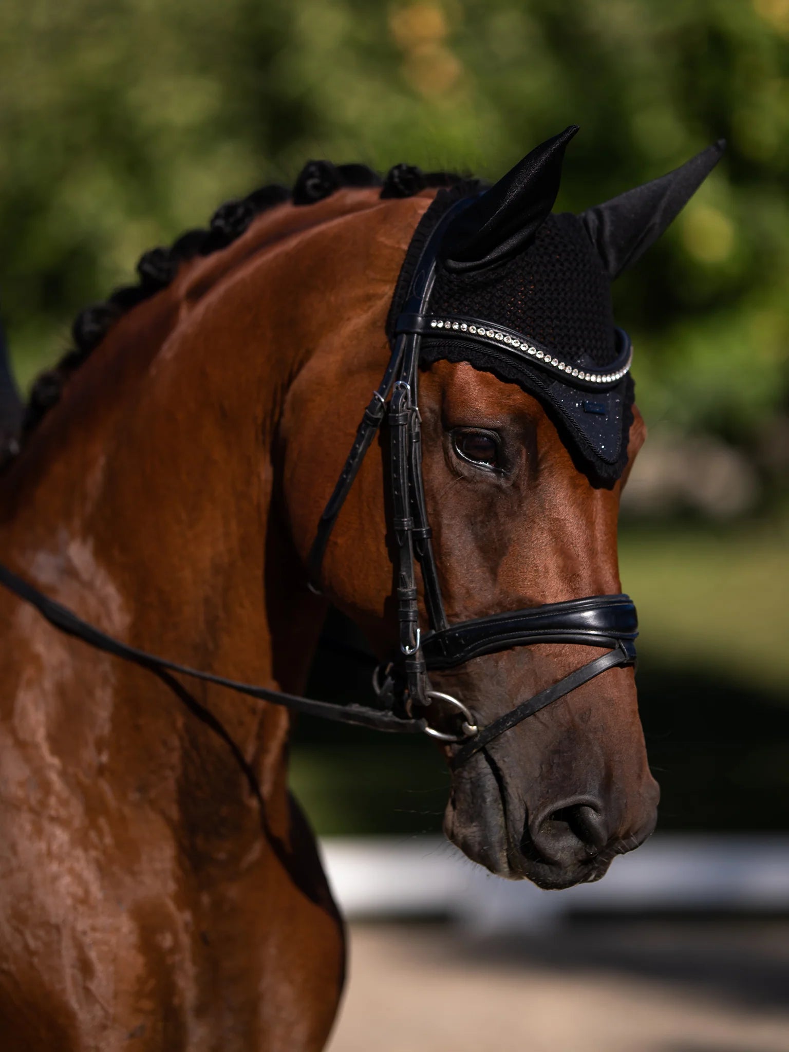 Equestrian Stockholm Ear Bonnet All Black Glimmer - Full - Riders Choice Supply Co