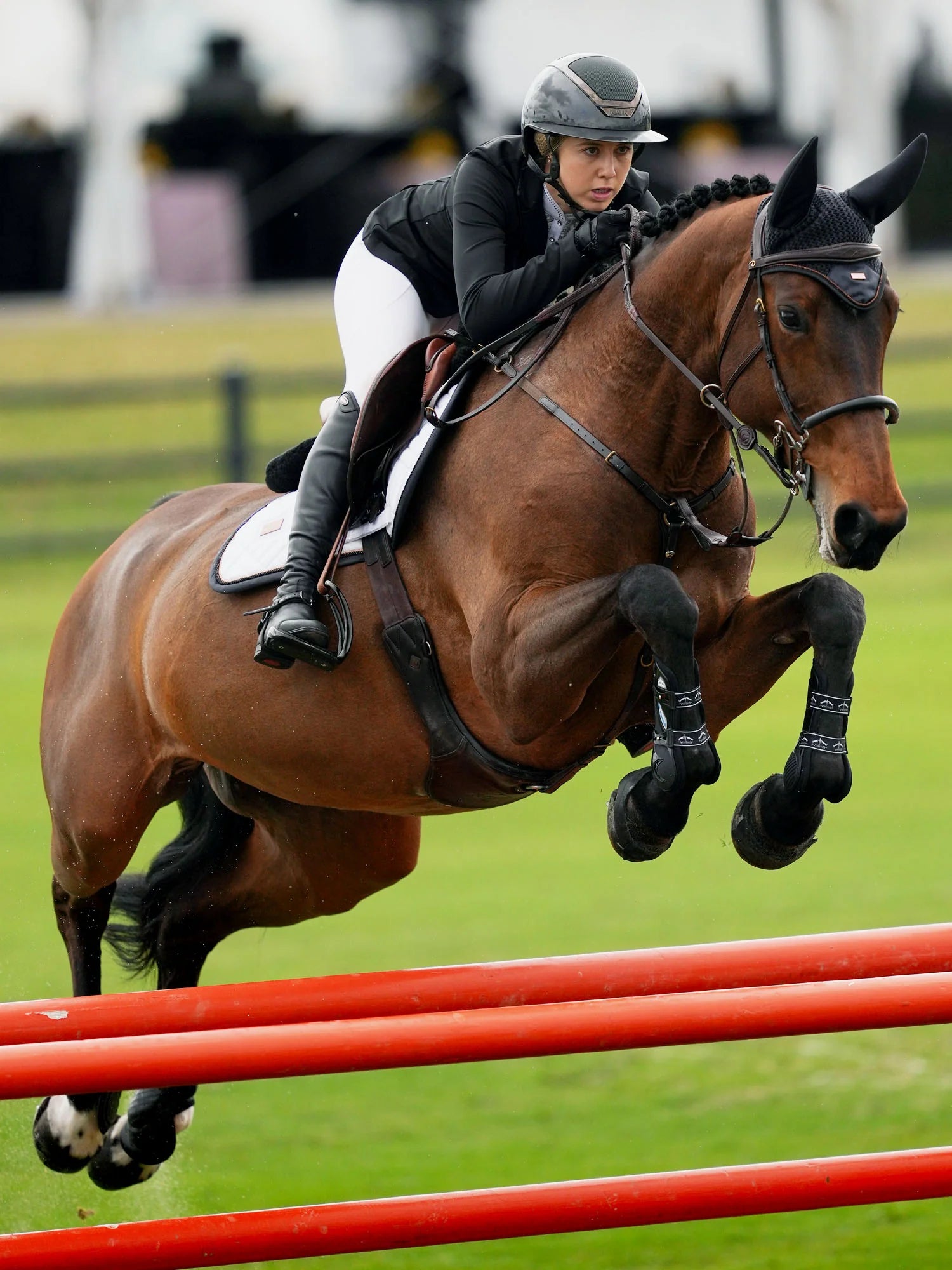 Equestrian Stockholm Soundless Ear Bonnet Modern
Dark Ocean - Full - Riders Choice Supply Co