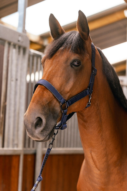 Hansey Horse Halter with Lead Rope - Riders Choice Supply Co