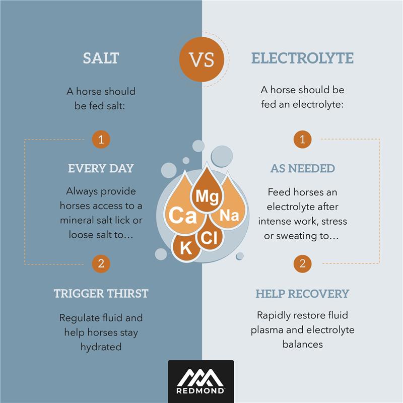 IsoBalance - Horse Electrolyte Paste - Riders Choice Supply Co