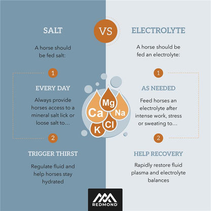 IsoBalance - Horse Electrolyte Paste - Riders Choice Supply Co