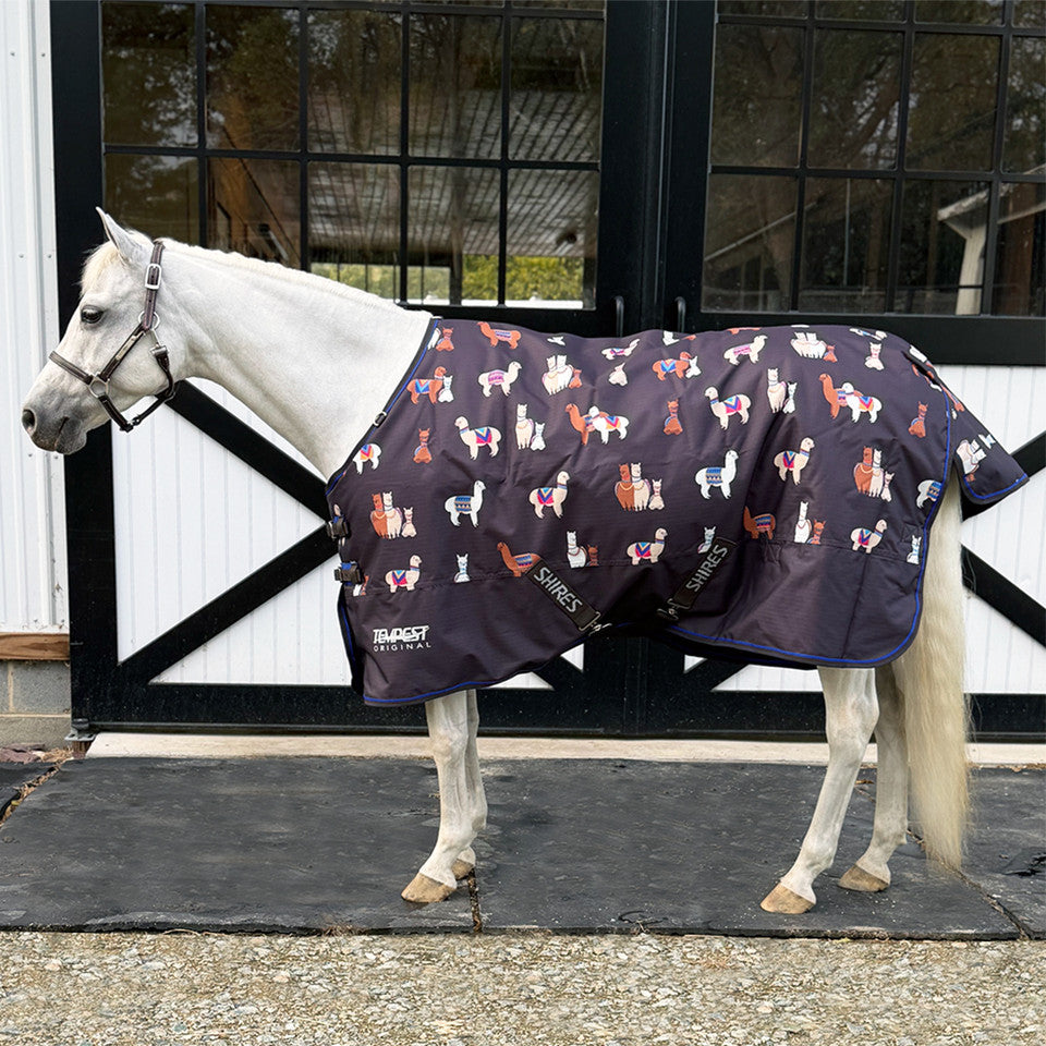 Shires Mini Highlander Blanket Alpaca 200g 48" - Riders Choice Supply Co