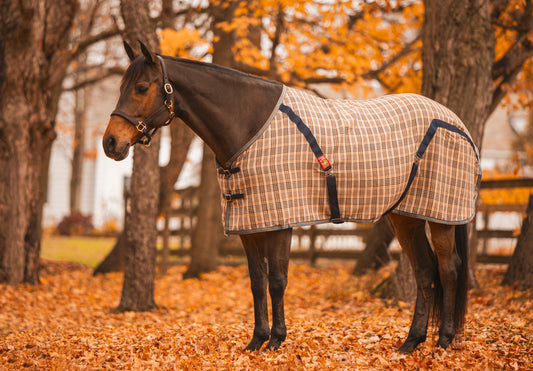 The Exclusive Custom 5/A Baker® Stable Sheet